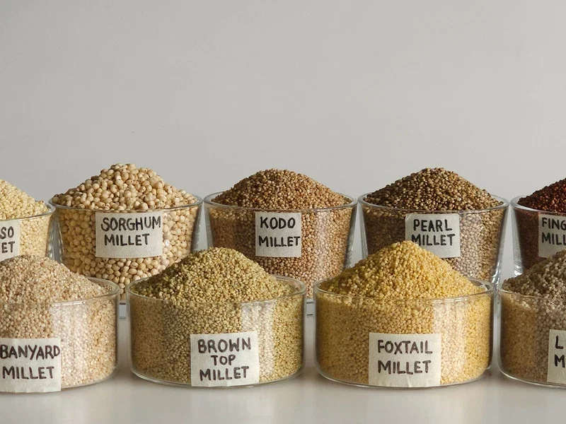 neushutterstock_2374983805